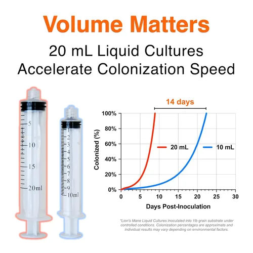Vista 3 de Melena de León (Hericium Erinaceus) Cultivo Líquido 20mL Sustrato Micología