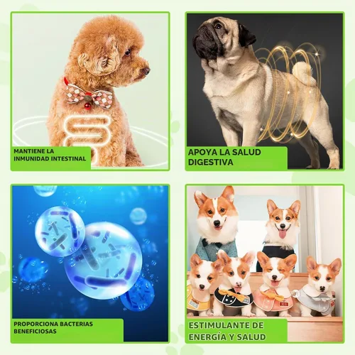 Vista 3 de Probióticos para perros, probióticos 3 en 1 para perros, probióticos para perros para apoyo digestivo, suplementos probióticos para perros