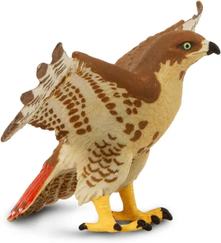 Vista 5 de Safari Ltd. Figura de halcón de cola roja, figura detallada de plástico de 5.75 pulgadas con envergadura, divertido juguete educativo para niños