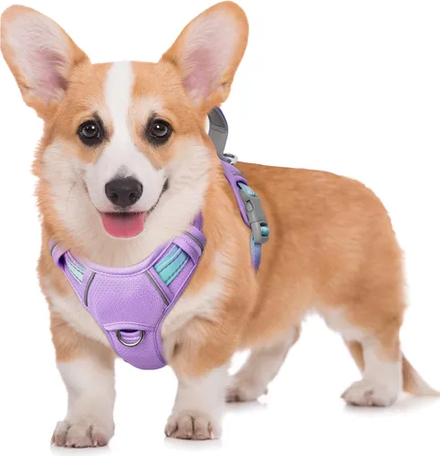 Vista 29 de BARKBAY Arnés para Perro Sin Tirones Talla Grande Arnés Reflectante para Perro con Clip Frontal y Asa de Control Fácil para Caminar Entrenar Correr
