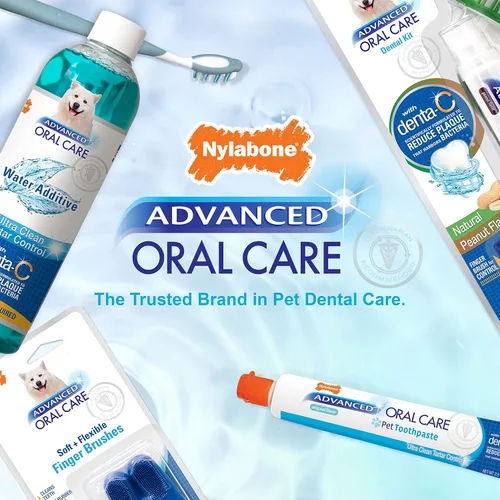 Vista 7 de Nylabone Advanced Oral Care - Kit dental para perros mayores con cepillo de dientes de cerdas suaves y acolchadas, 3