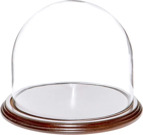 Vista 6 de Plymor Cúpula de cristal de 8 x 6.5 pulgadas (base de madera MDF negra)