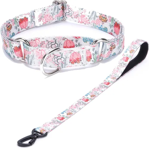 Vista 15 de Collar de perro de nailon resistente, collar ajustable de martingala para perros para caminar y entrenamiento para perros machos y hembras perros