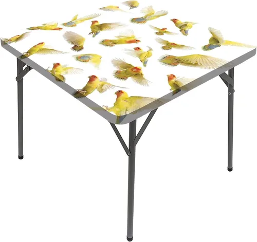 Vista 21 de Flying Birds - Mantel cuadrado elástico con diseño de pájaros en la rama de árbol, manteles decorativos de naturaleza y paz para el hogar, se adapta