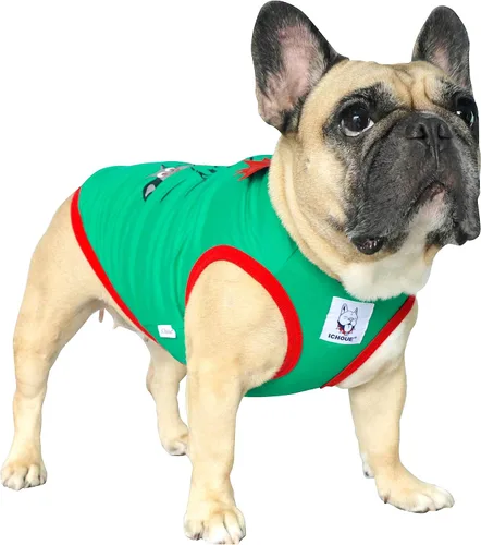 Vista 2 de iChoue Disfraz de bulldog francés de Halloween, alas de murciélago, araña Camisa de disfraz alas de murciélago