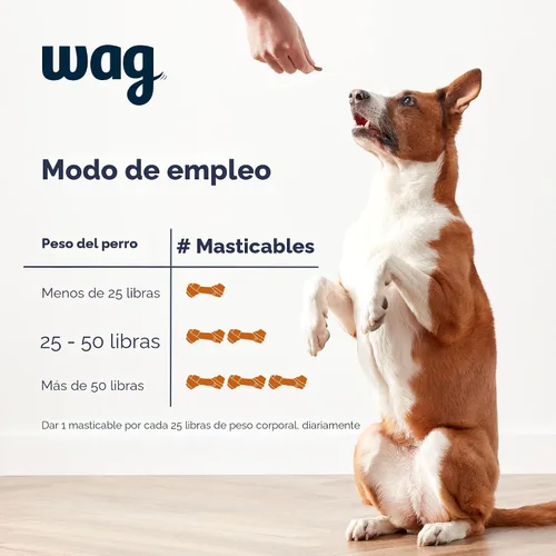 Vista 4 de Marca Amazon – Suplemento probiótico Wag masticables diarios para perros, apoya la digestión y la salud intestinal, sabor natural de pato, 90