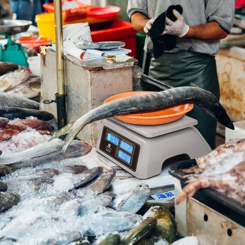 Vista 8 de Báscula comercial impermeable para alimentos BROMECH de 66 libras con cálculo de precios Digital Rechargeable Scale for Meat, Seafood, Produce at