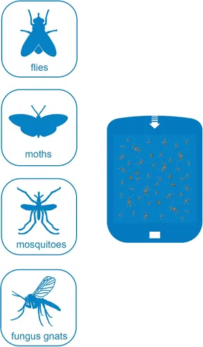 Vista 6 de Dichroma Recambios para trampa de insectos voladores para trampa de luz Azul