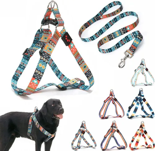 Vista 8 de Juego de arnés y correa para perro, bonito patrón sin tirones, chaleco halter para cachorros, para exteriores, fácil caminar para razas pequeñas