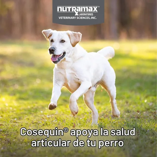 Vista 4 de Cápsulas Nutramax para perros, para las articulaciones.