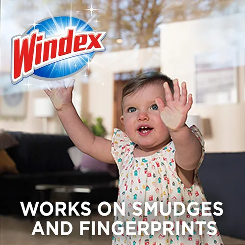 Vista 4 de Windex - Toallitas de limpieza para vidrio y multisuperficie, 28