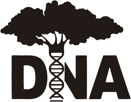 Vista 2 de Vinilo adhesivo de pared de árbol de ADN, etiqueta de pared para el hogar decoración de la ciencia de la biología, etiqueta engomada de vinilo Negro