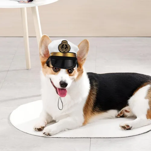 Vista 5 de Gorro ajustable de poliéster para perros pequeños y gatos, accesorio para fotos