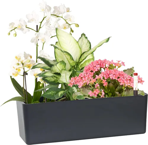 Vista 9 de Macetas alargadas con autorriego para ventana, de 5.5 x 16 pulgadas, para interiores, hogar, jardín, maceta decorativa moderna para todas