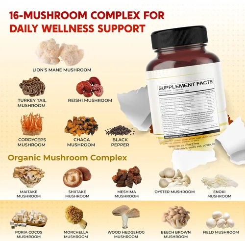Vista 3 de Lion's Mane Turkey Tail Cordyceps Reishi Chaga - Apoyo al Bienestar General