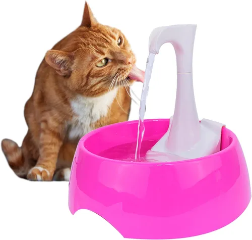 Vista 12 de Aqua First Pet Water Fountain – Automatic Water Dispenser for Dogs, Cats, and Small Pets – Indoor Hydration Bowl – 1.2L/42 fl oz – Blue