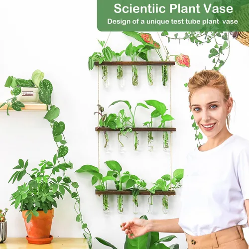 Vista 4 de Estación de propagación, terrario de plantas, regalos para amantes de las plantas para mujeres, soporte para cortar plantas, decoración del hogar
