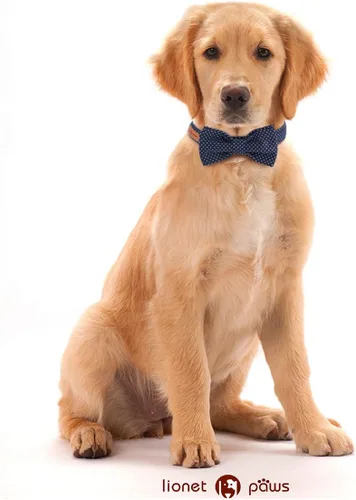 Vista 107 de Lionet Paws Collar de perro de Halloween con corbatín, bonito collar de algodón ajustable con hebilla de metal para perros pequeños, medianos y A