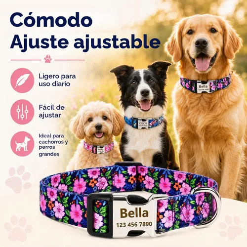 Vista 7 de Collar de perro personalizado personalizado con etiqueta de identificación grabada, nombre de perro y número de teléfono/collares de perro