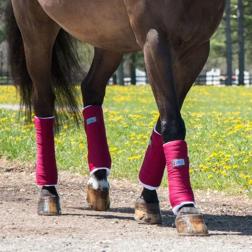 Vista 4 de Dura-Tech Envolturas de pie para caballos Color negro Comodidad y apoyo óptimos Ideal para después del ejercicio y remolque Aplicación