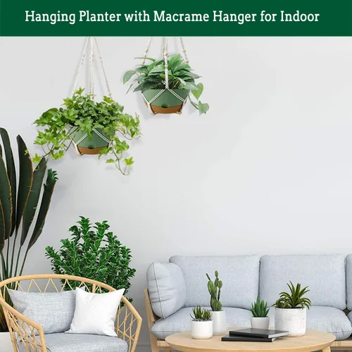 Vista 5 de Koalaime Maceta Colgante de Riego Automático de 10 Pulgadas, Juego de 2 Cestas Colgantes para Interior y Exterior, Macetas Colgantes con Agujero