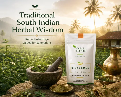 Vista 4 de YOGIS HERBS Polvo de Nilavembu - Andrographis paniculata/Kalmegh/King of Bitters - Hierba tradicional Tamil Siddha para el bienestar diario