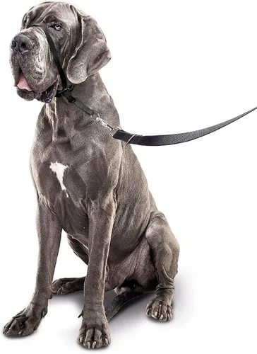 Vista 3 de Beaphar Gentle Leader L - Collar para cabeza de perro, 1 pieza, tela, entrenamiento amable y eficaz, sin tirones ni asfixia, razas grandes