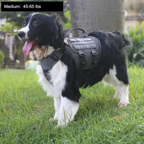 Vista 2 de ICEFANG GN3 Arnés táctico para perros con 6 hebillas, chaleco Molle con asa, cobertura de 3/4 del cuerpo, panel de velcro para parche de Gris wolf
