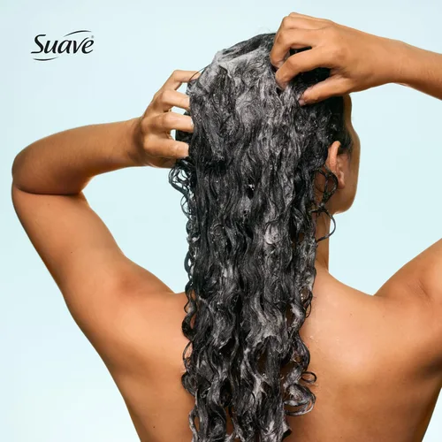Vista 5 de Suave Champú reparador de humedad, sin sulfatos, para restaurar la humedad con cada lavado, seguro para el cabello tratado con color, 12.6 onzas