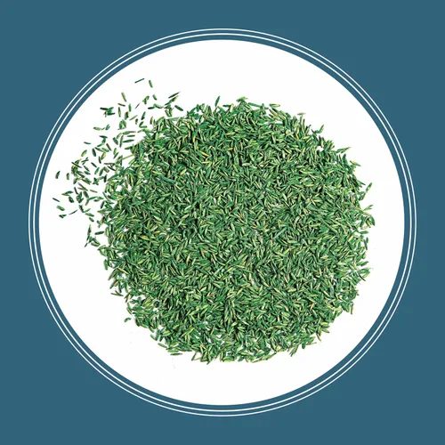 Vista 12 de Pennington Smart Seed - Semillas de césped del estado de Pennsylvania