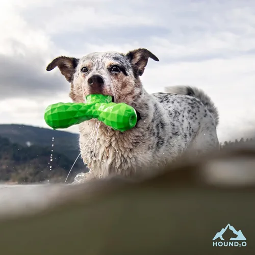 Vista 3 de Playology HOUND2O - Juguetes para perros Juguete flotante para exteriores chirriante para perros Juguete verde brillante para perros