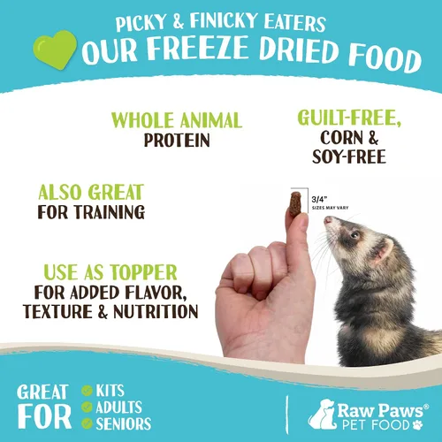 Vista 3 de Raw Paws Alimento liofilizado para hurones – Receta de carne de res, 16 onzas – Hecho en Estados Unidos – Dieta de hurones sin granos para hurones
