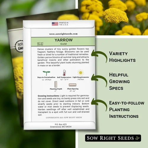 Vista 2 de Sow Right Seeds - Semillas de flores doradas de milenrama de Achillea para plantar - Flores para plantar en tu jardín - Paquete de reliquia sin OMG