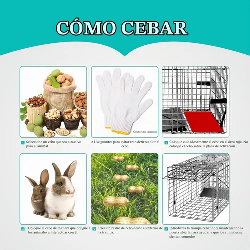 Vista 7 de Trampa de jaula para animales vivos, trampa de ardillas humanas de 24 "x 7