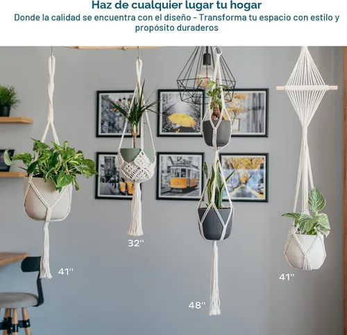 Vista 7 de Nook Theory Paquete de 4 Colgadores de Macramé para Plantas con 8 Ganchos - Macetas Colgantes para Plantas de Interior, Colgadores de Macramé Boho