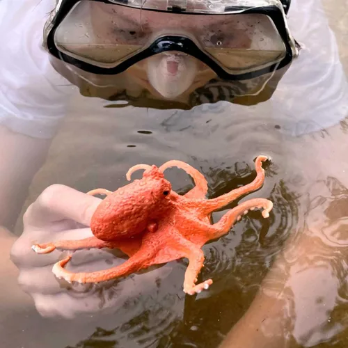 Vista 2 de Safari Ltd. Figura de pulpo – Figura detallada de plástico de 5 pulgadas – Divertido juguete educativo para niños, niñas y niños a partir de 3 años