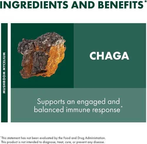 Vista 6 de Host Defense Cápsulas Chaga - Suplemento de apoyo del sistema inmunológico - Cápsulas de hongos Chaga para apoyo a la actividad antioxidante