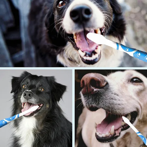 Vista 8 de 4 cepillos de dientes profesionales para mascotas, cerdas suaves para perros y gatos, juego de cabezales de cepillo de doble cara, dientes