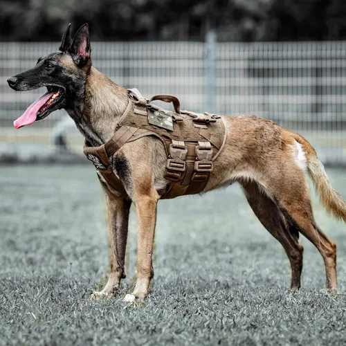 Vista 6 de PETAC GEAR Arnés Táctico para Perros K9 Chaleco de Entrenamiento para Perros Ajustable Acolchado para Perros de Servicio Policial de Trabajo Negro