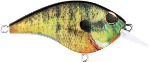 Vista 60 de Berkley Frittside Fishing Hard Bait Bronceado en aerosol