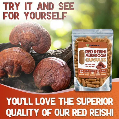 Vista 6 de XPRS Nutra Cápsulas de hongos Reishi – 180 cápsulas de hongos Reishi rojos – 3 meses de suministro de hongos reales suplementos píldoras