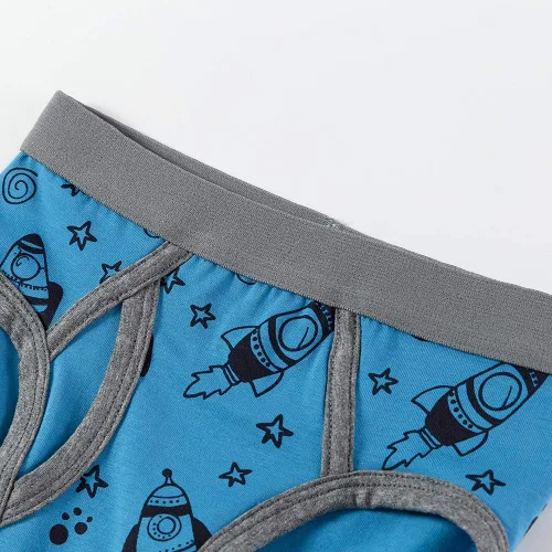 Vista 3 de Winging Day - Paquete de calzoncillos de algodón para niños.