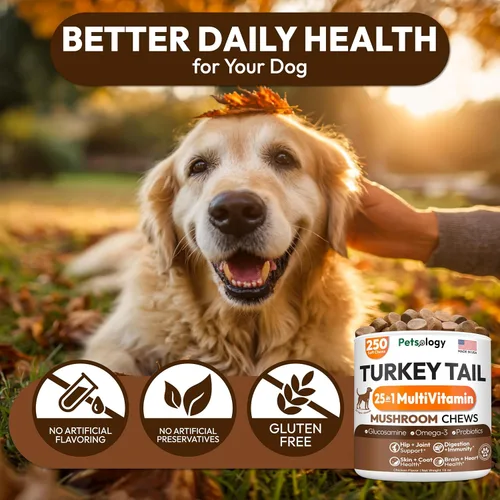 Vista 10 de Hongo de cola de pavo para perros – 250 masticables – Melena de león – Shiitake – Reishi – Protector de apoyo inmunológico Buddy – Suplemento