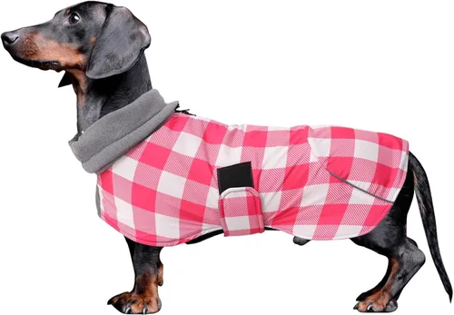 Vista 14 de Abrigos de perro salchicha impermeables, perfectos para perros salchichas, salchichas, abrigo de invierno para perro Weiner con forro polar