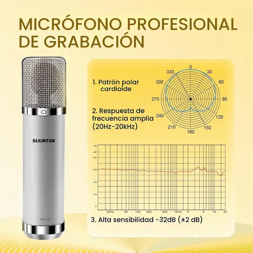 Vista 4 de SUUNTOK FET Micrófono condensador profesional XLR Micrófono de estudio con diafragma grande de 1.339 in, micrófono de grabación cardioide, Gris
