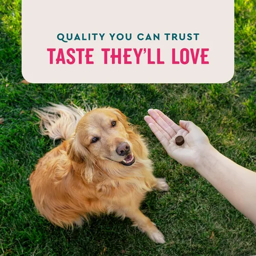 Vista 5 de VetIQ Suplemento multivitamínico para perros, apoya la función cerebral activa, el sistema inmunológico y el sistema digestivo, multivitamínico