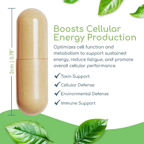 Vista 9 de Előző Nutrientes celulares saludables, multivitamínico metilado