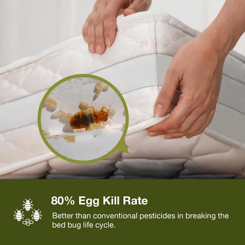 Vista 10 de Eliminador de plagas de cama Ecoraider en aerosol, 16 onzas, verde + no tóxico, mata 100% con protección extendida
