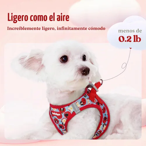 Vista 3 de rabbitgoo Arnés para perro de tamaño pequeño y juego de correa, chaleco Cachorros de manzana