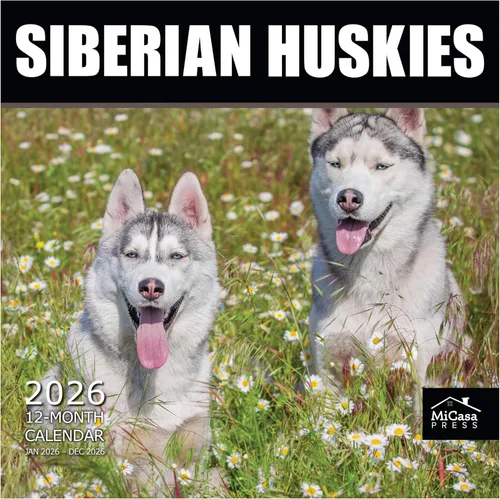 Vista 27 de MICASA PRESS Calendario de pared de Australian Shepherds Aussies 2027 02 - Pastores australianos